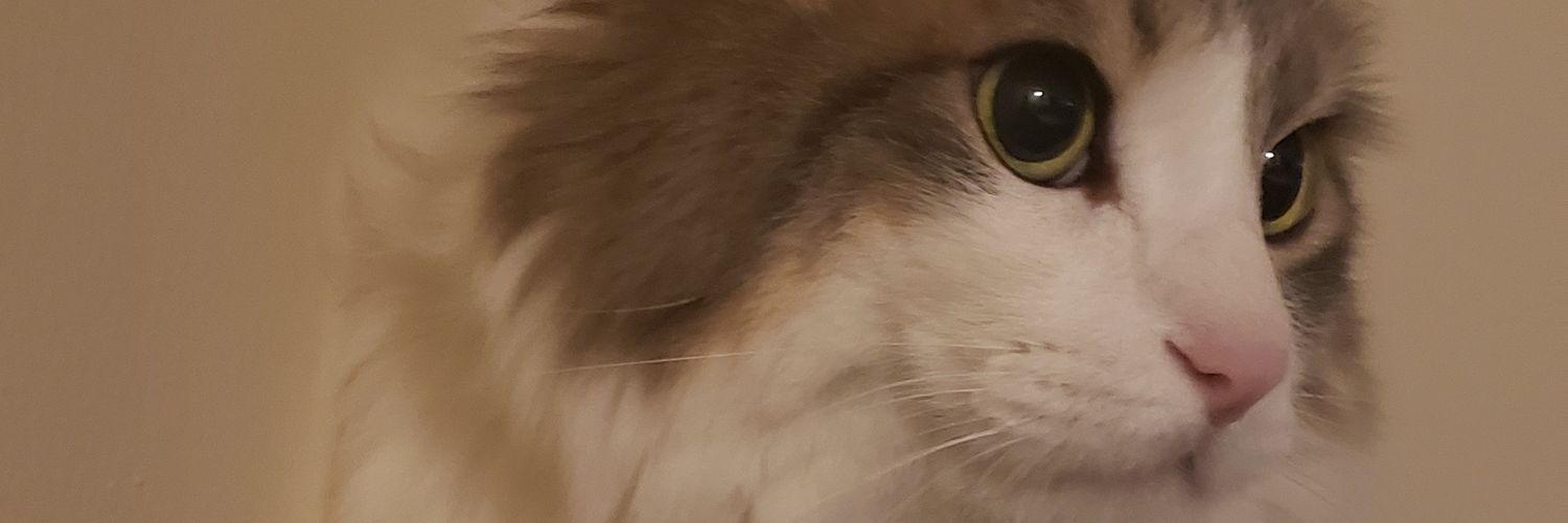 Kami (Paola Garcia) banner