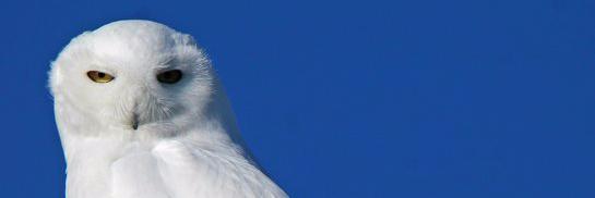 Kamael65's profile banner image