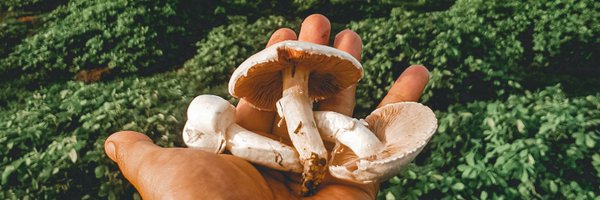 Gonebastard Profile Banner