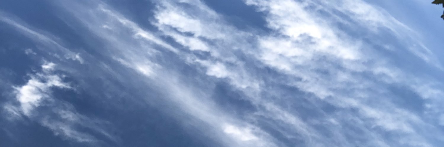 MegElise214's profile banner image