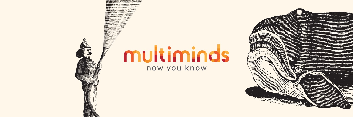 MultiMinds.eu banner