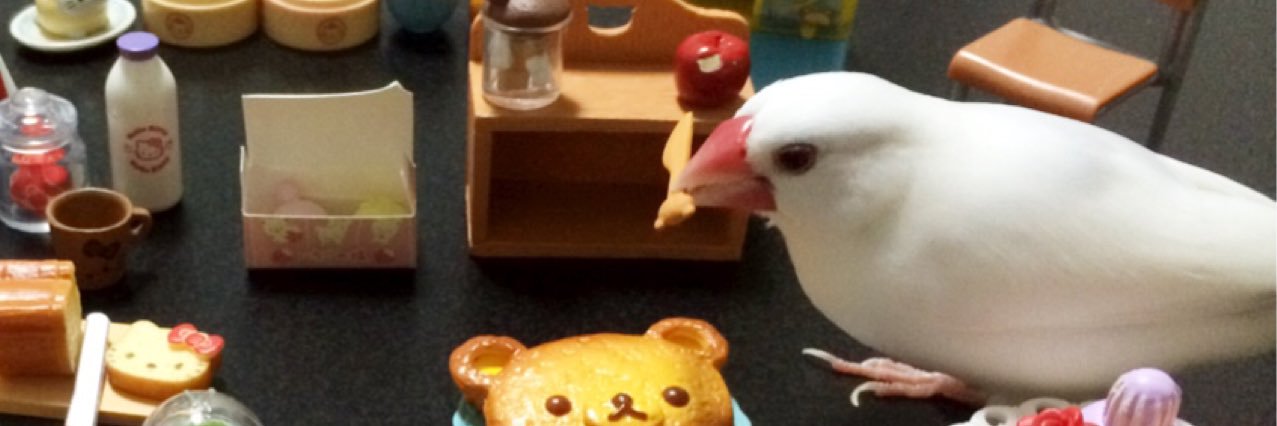 ピーちゃんとプリム banner