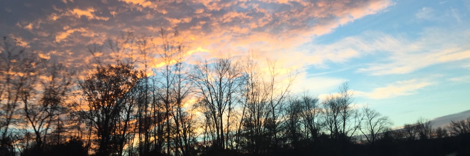 Allie_saurus's profile banner image