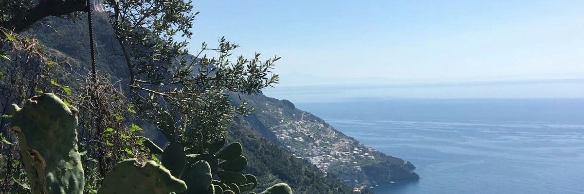 giuseppecanton8's profile banner image