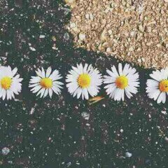 Shandre456321's profile banner image