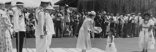 Fiji Support Network banner