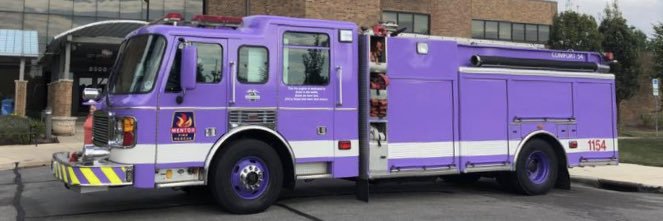Mentor Fire Rescue banner