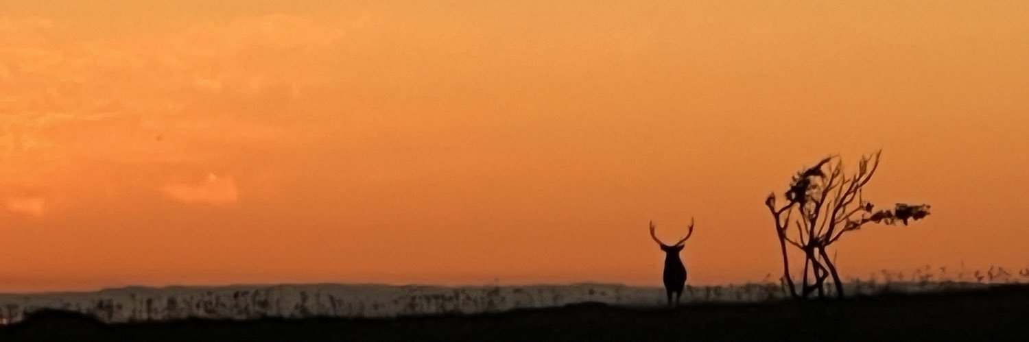 Uw_CS's profile banner image