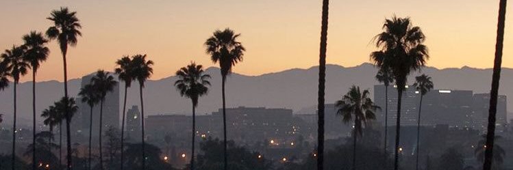 alisonnance's profile banner image