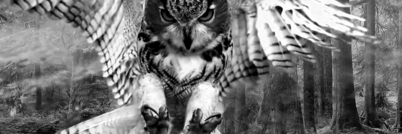 fairouzi1's profile banner image