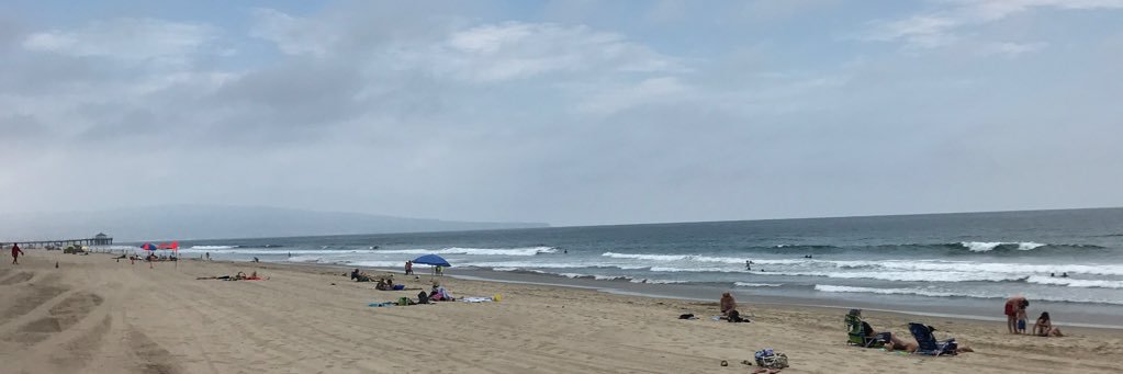 Michael Boyle banner