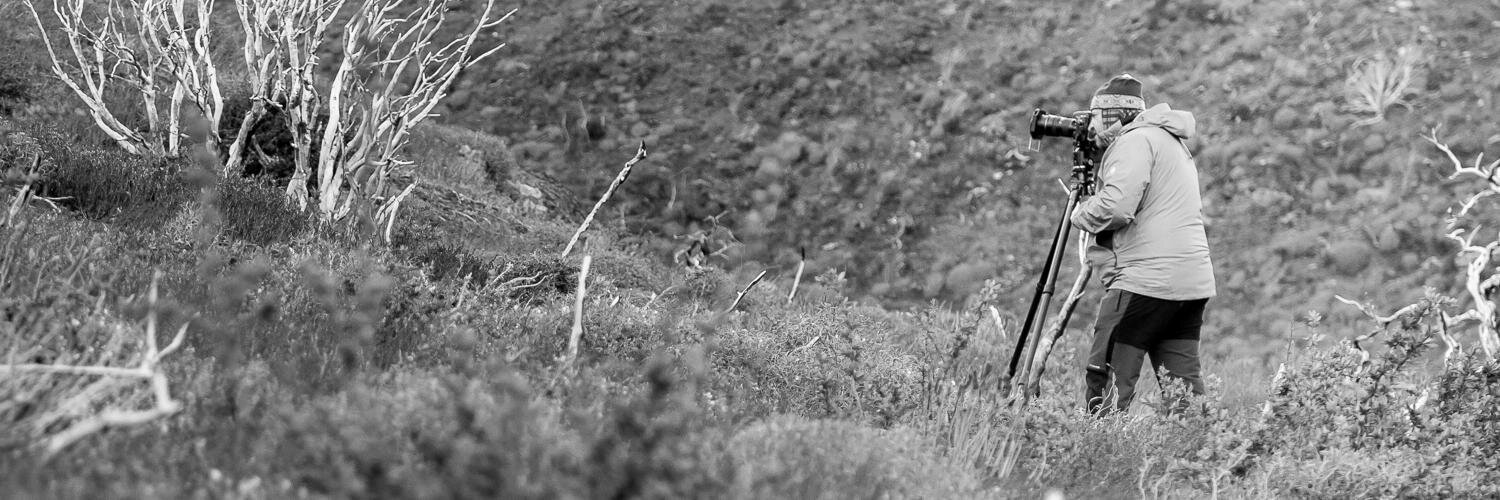 AndesPhoto's profile banner image