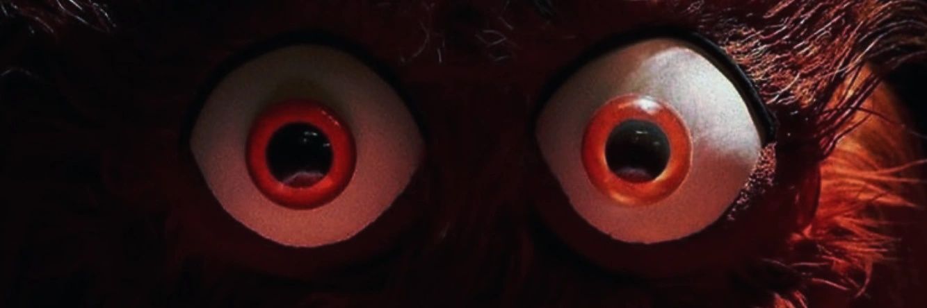 EvanTKelly's profile banner image