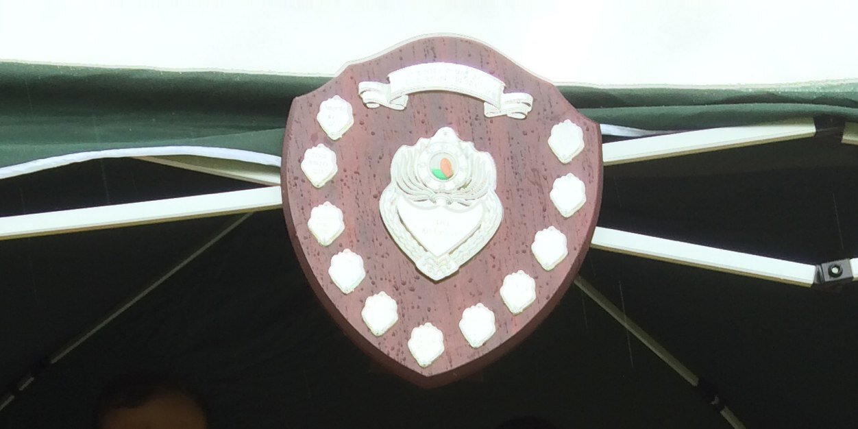 Cardigan Exiles banner