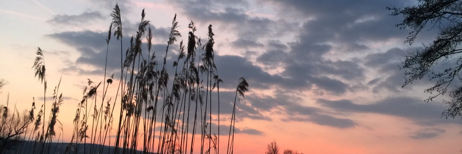 ashlar777's profile banner image