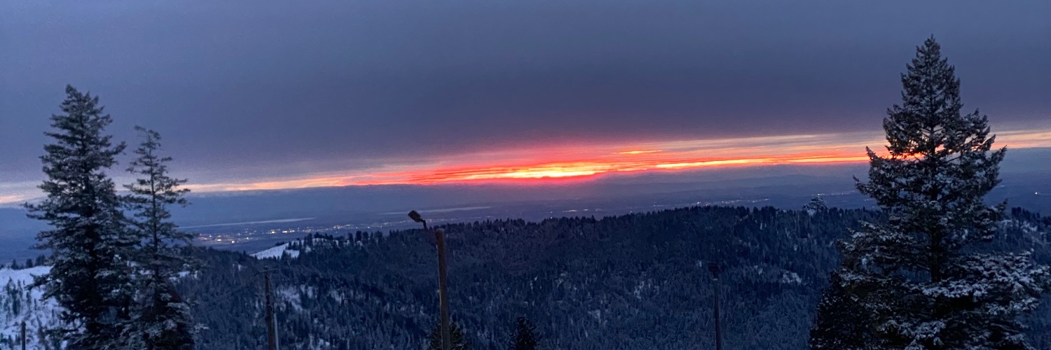 msjcrew's profile banner image