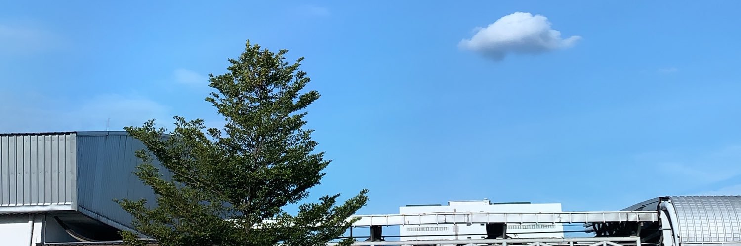 ChojoeOo's profile banner image