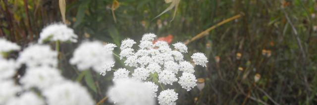 Fabiola32796282's profile banner image