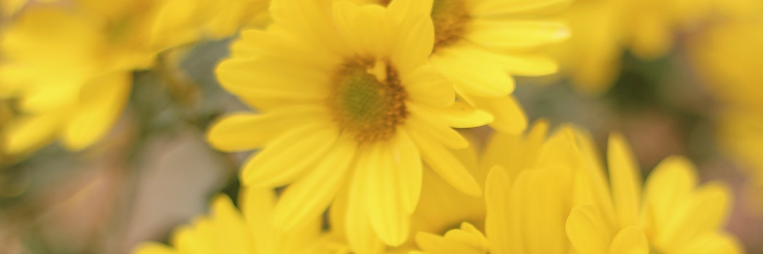jasminebarta's profile banner image
