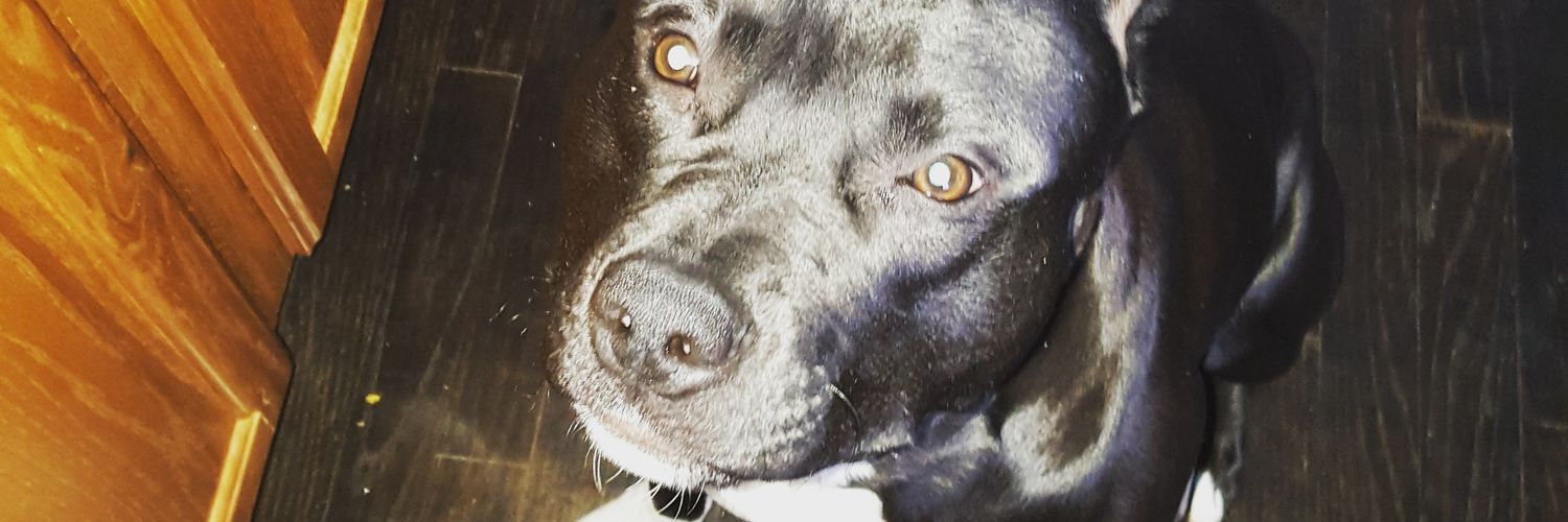 TooShiftyJordan's profile banner image