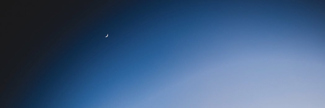thelvstdon's profile banner image