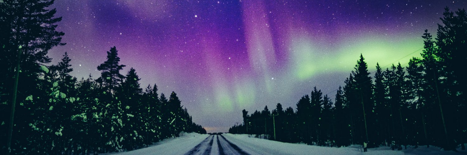 Northern Lights College banner