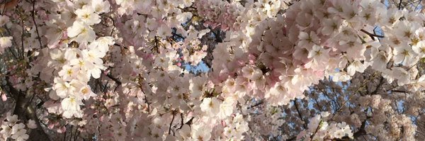 jkitsjulia Profile Banner