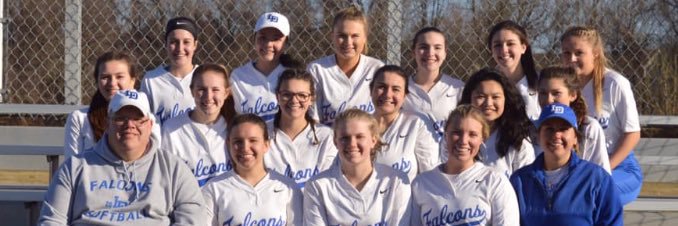 LDsoftball1's profile banner image