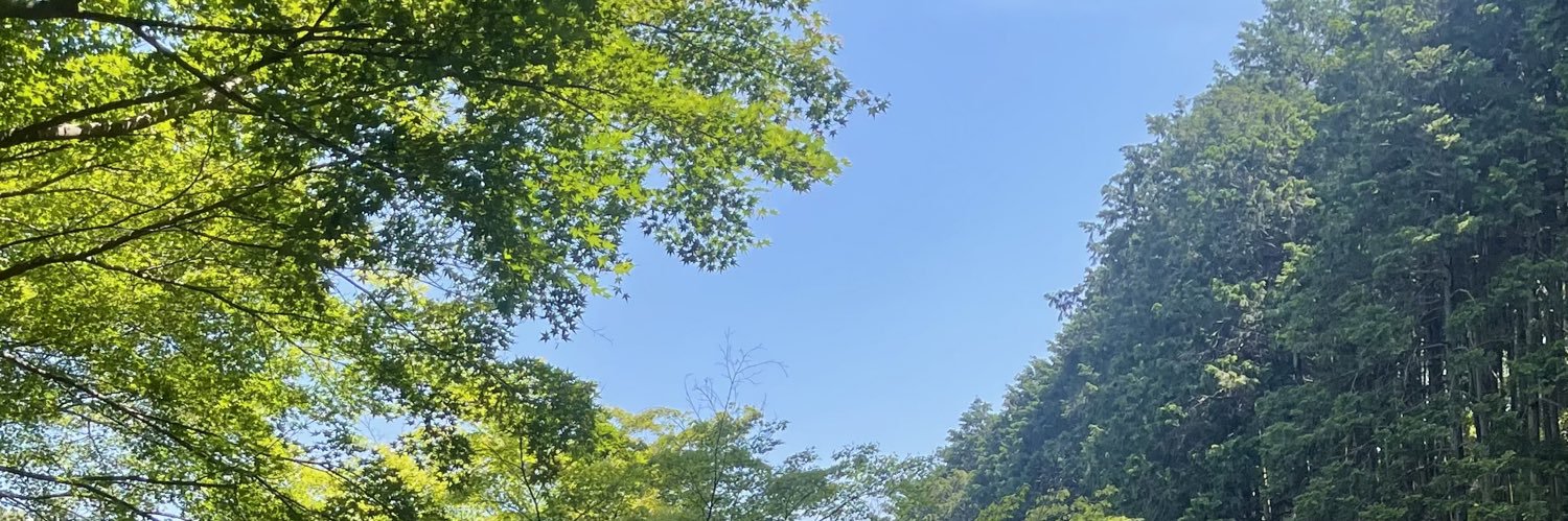 vigallo04's profile banner image