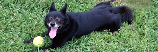 k8krayer's profile banner image