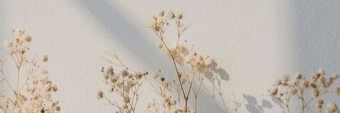 eripuspaaaa's profile banner image
