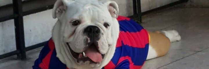 Jacobopalma's profile banner image