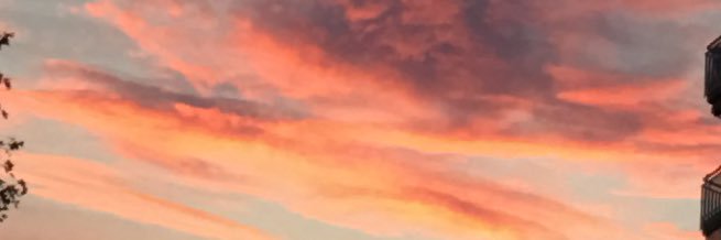 laadventuree's profile banner image