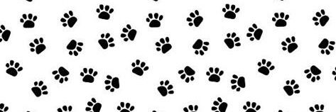 zeynepumut55's profile banner image