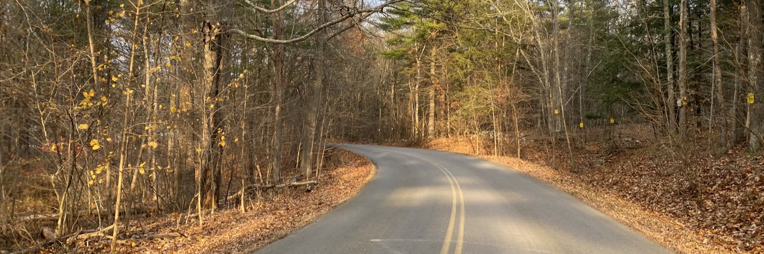 jellybeanster88's profile banner image