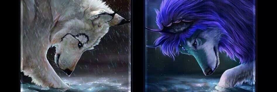 Catherine (Cat) A Menz banner