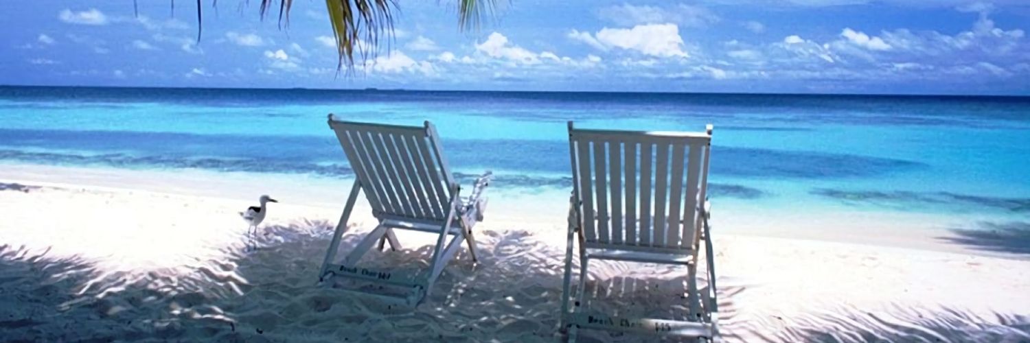 Shaggiestone's profile banner image