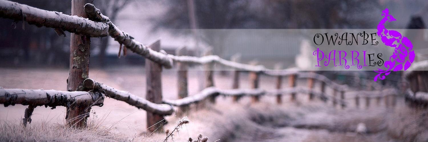 OwanbePARRIES's profile banner image