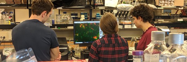 hammer_lab Profile Banner