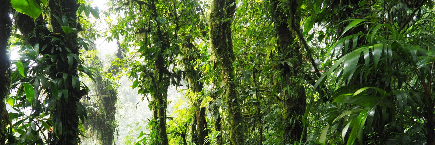 Marcelo CastroA banner