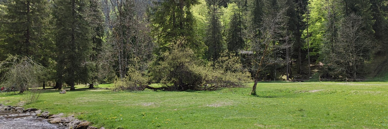 AnnaEscoulan's profile banner image