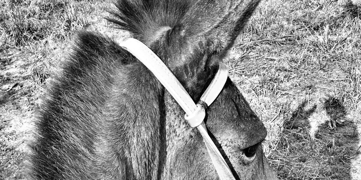 _fariasamanda's profile banner image