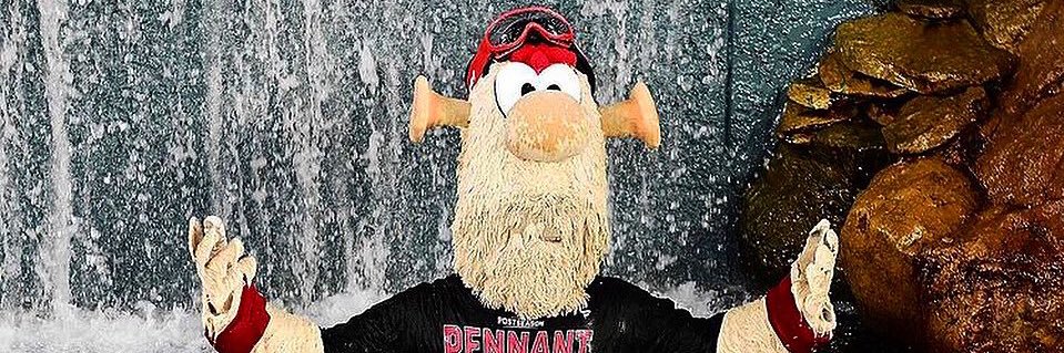 dunnytwogloves's profile banner image