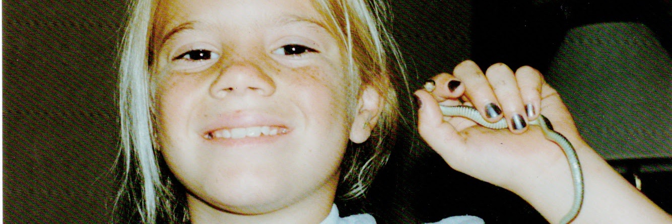 Dani Shay banner