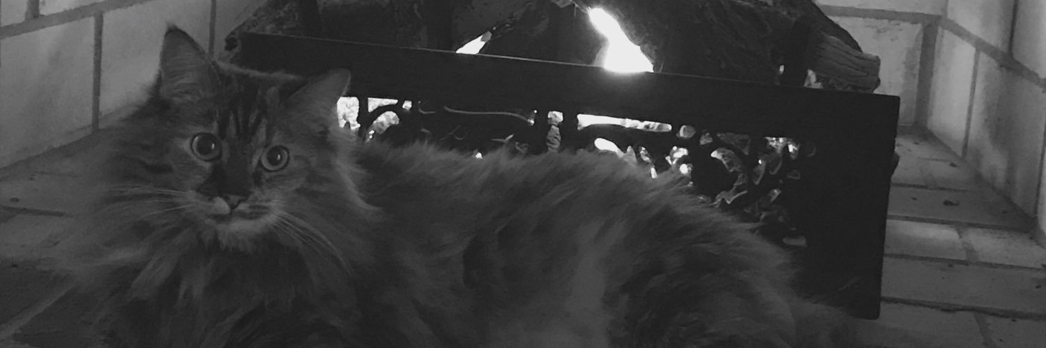 SMHaydock's profile banner image