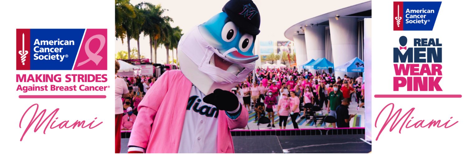 Making Strides Miami banner