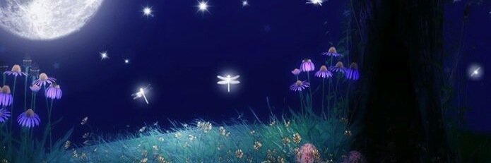 SpecwriterMarg's profile banner image