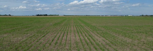 haleycatton Profile Banner