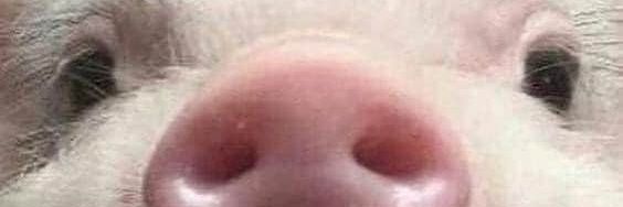 KateyCave's profile banner image