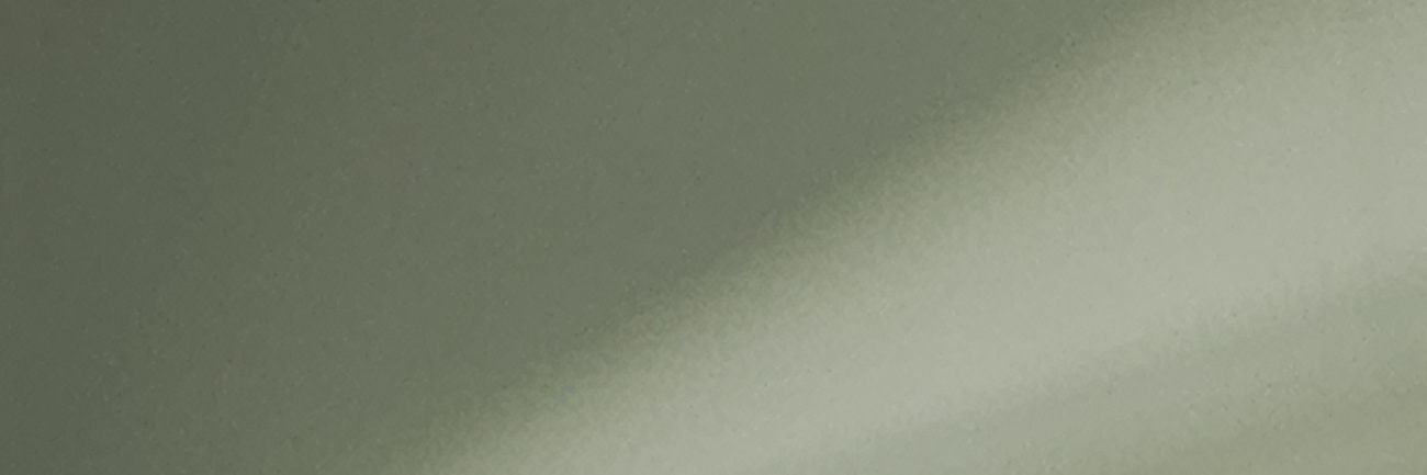 about_nyle's profile banner image